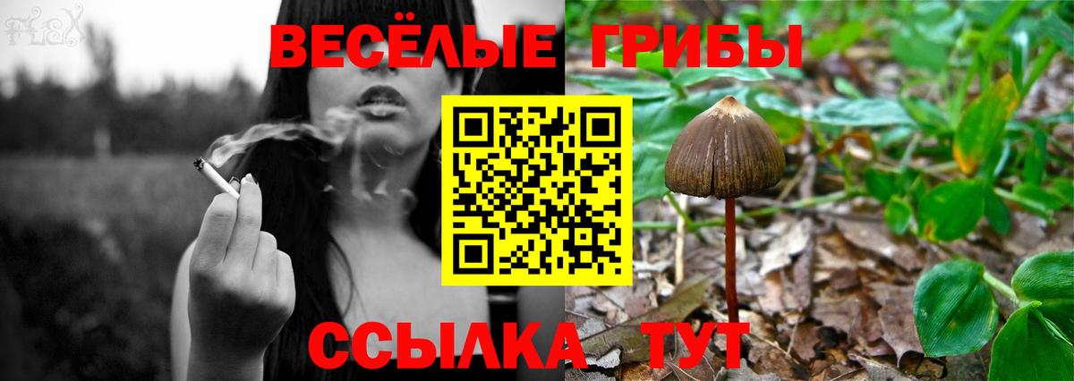 Салехард  Псилоцибиновые грибы Magic Shrooms  Псилоцибиновые грибы Psilocybine cubensis  Вход с VPN 